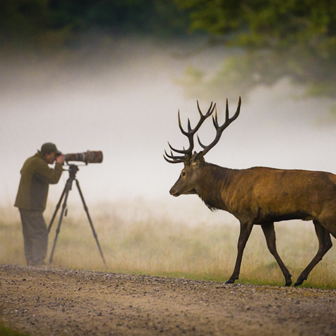 Фотоохота